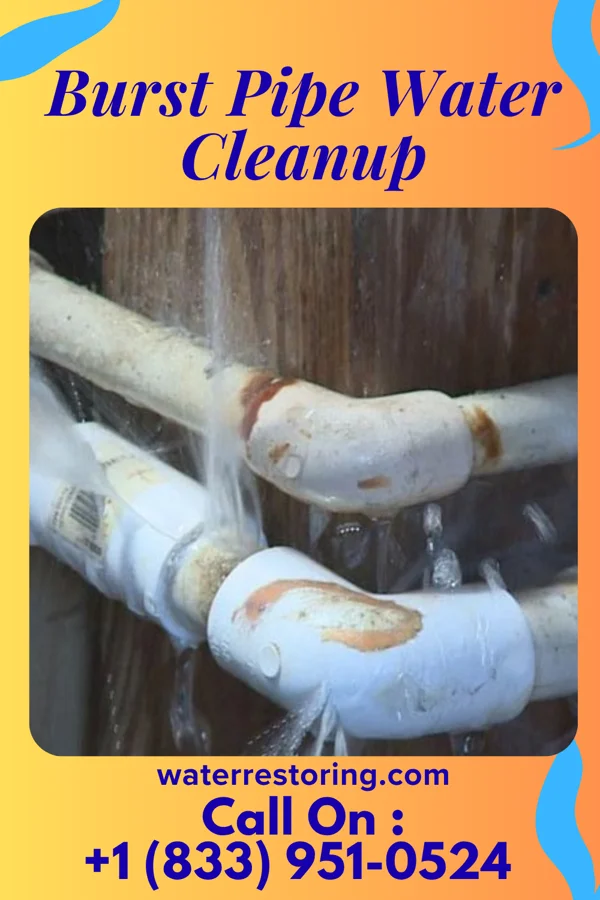 Burst Pipe Water Cleanup in Phenix, VA