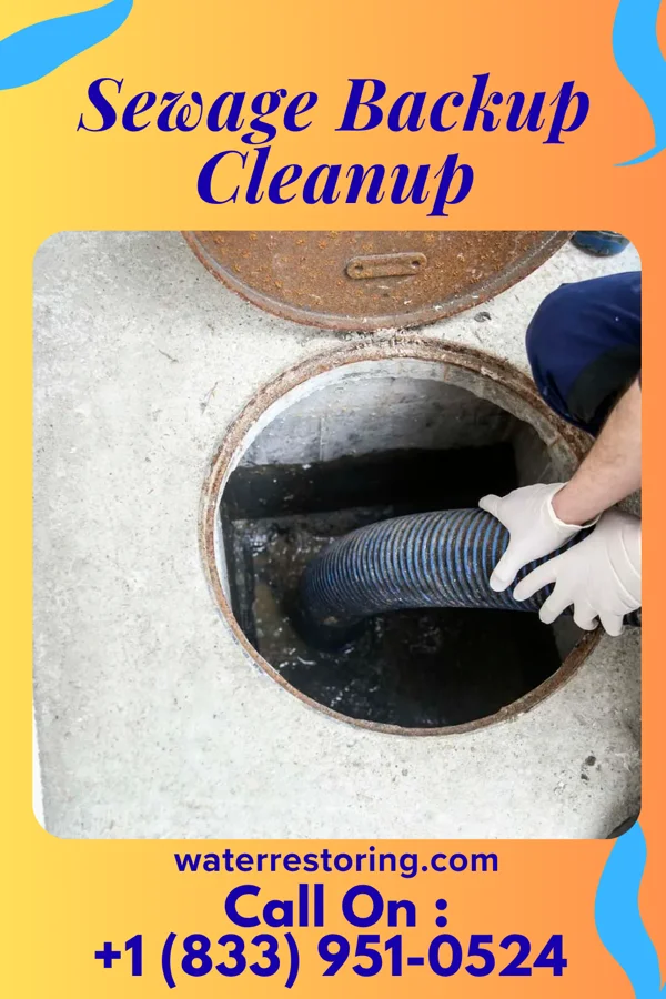 Sewage Backup Cleanup in Phenix, VA