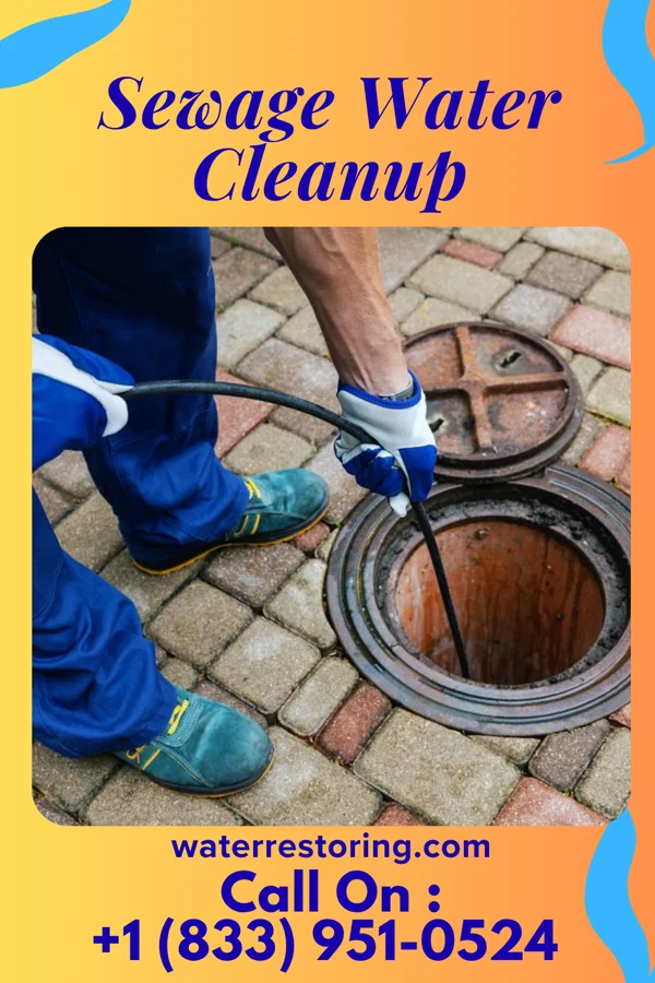 Sewage Water Cleanup in Phenix, VA