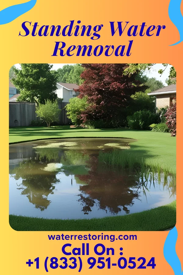 Standing Water Removal in Phenix, VA